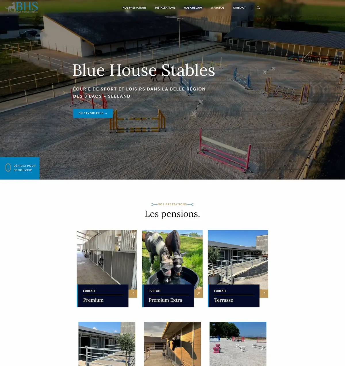 BlueHouseStables-Website