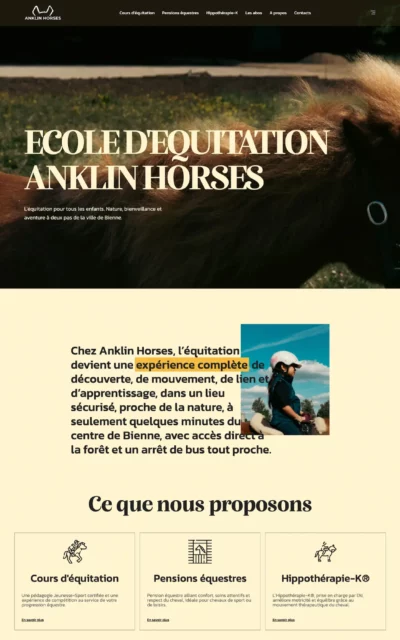 manège-anklin-horses