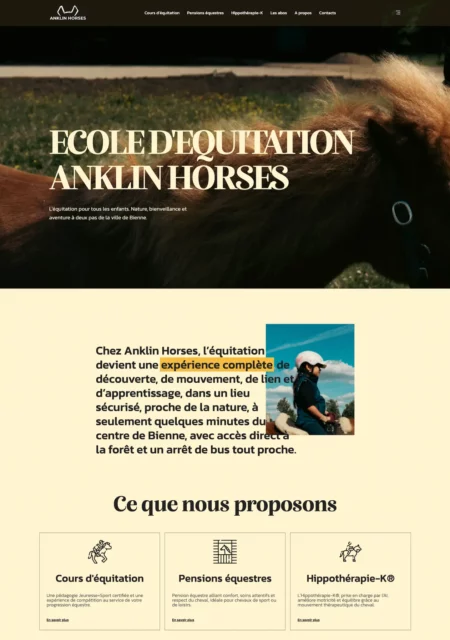 manège-anklin-horses