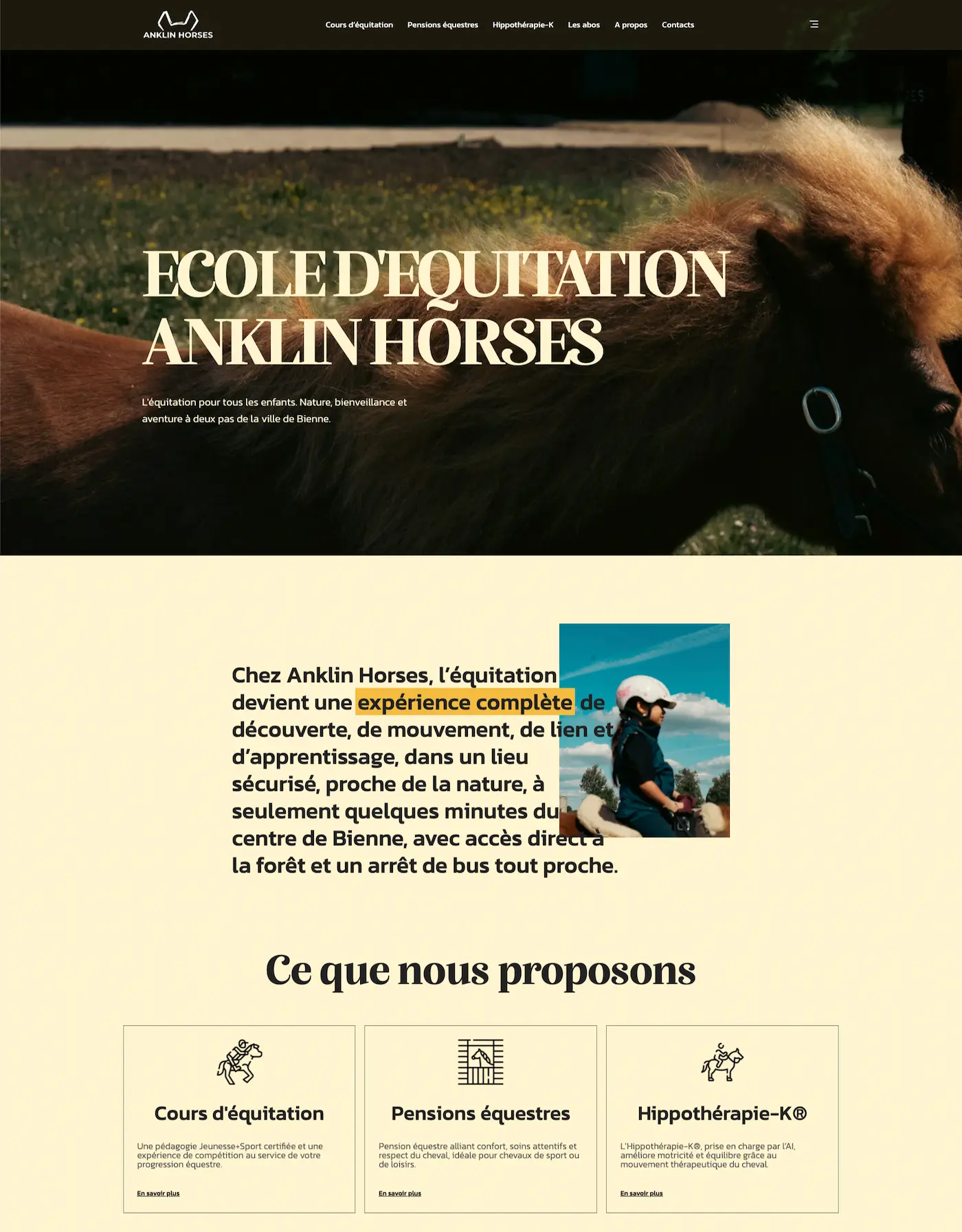 manège-anklin-horses