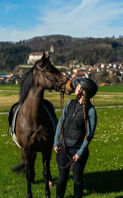 équitation-bulles